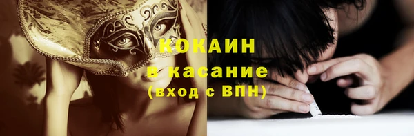 стаф Алексин