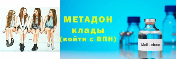 стаф Алексин