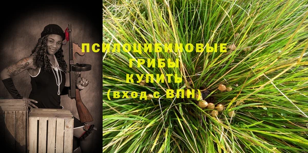 стаф Алексин